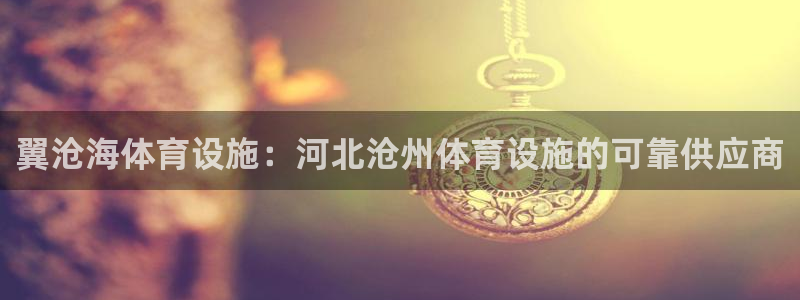 意昂体育3软件：翼沧海体育设施：河北沧州体育设施的可