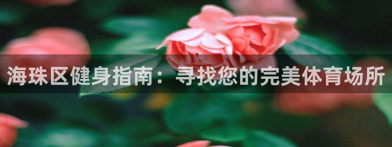 意昂3娱乐是那个系列的台子：海珠区健身指南：寻找您的