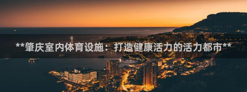 意昂3五金厂：**肇庆室内体育设施：打造健康活力的活