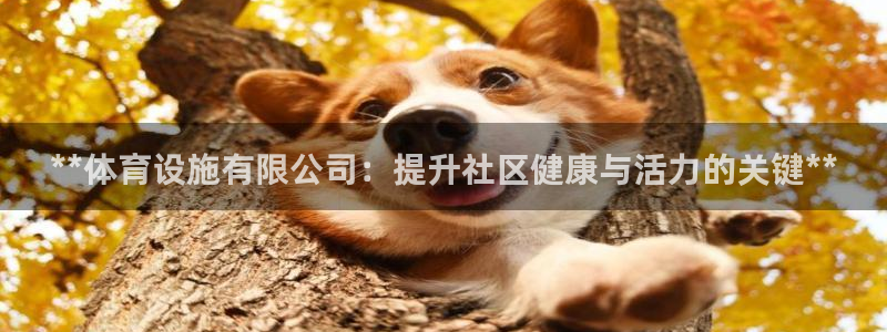 意昂体育3招商电话是多少：**体育设施有限公司：提升