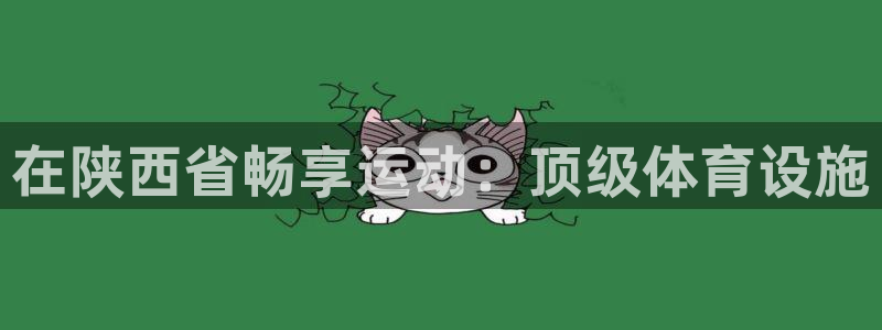 意昂体育3平台假的吗是真的吗吗：在陕西省畅享运动：顶
