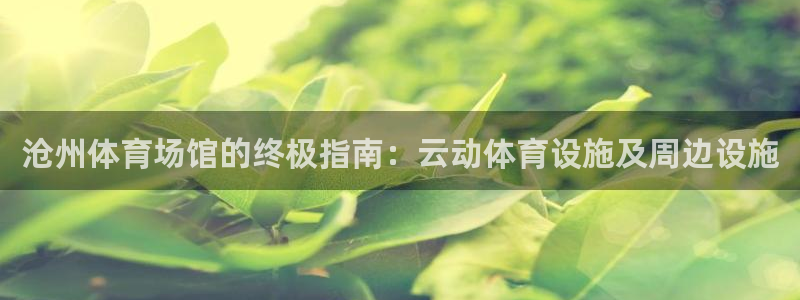 意昂3娱乐平台：沧州体育场馆的终极指南：云动体育设施