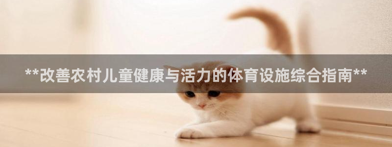 意昂体育3注册：**改善农村儿童健康与活力的体育设施