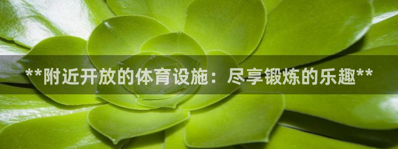 意昂体育3开户：**附近开放的体育设施：尽享锻炼的乐