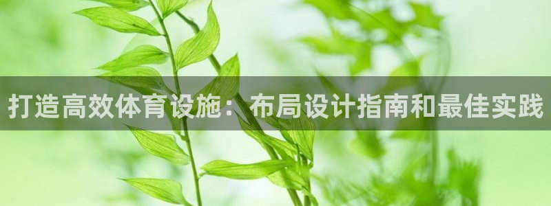 意昂3娱乐是那个系列的台子：打造高效体育设施：布局设