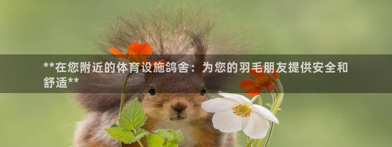 意昂3新能源：**在您附近的体育设施鸽舍：为您的羽毛