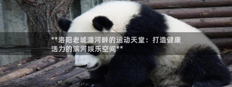 意昂体育3平台注册要钱吗：**洛阳老城瀍河畔的运动天