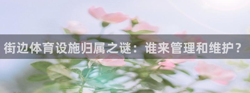 意昂体育3官方客服电话：街边体育设施归属之谜：谁来管