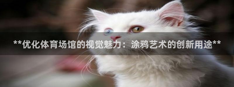 意昂体育3平台：**优化体育场馆的视觉魅力：涂鸦艺术