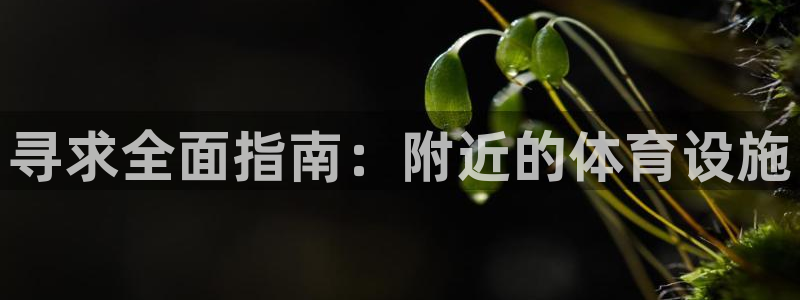 意昂体育3平台假的吗是真的吗：寻求全面指南：附近的体