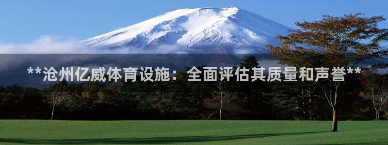 意昂3集团：**沧州亿威体育设施：全面评估其质量和声