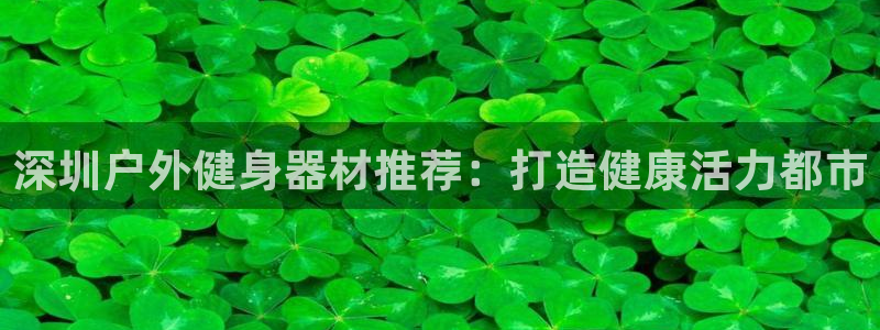 意昂3五金厂：深圳户外健身器材推荐：打造健康活力都市