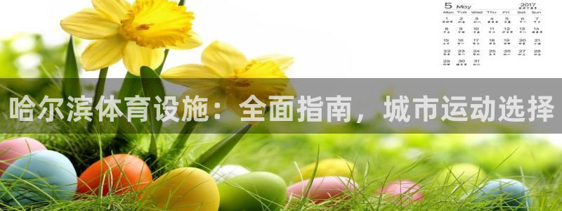 意昂平台体育：哈尔滨体育设施：全面指南，城市运动选择