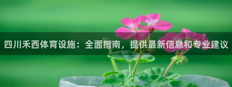 意昂体育3平台假的吗是真的吗：四川禾西体育设施：全面