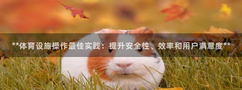 意昂体育3平台：**体育设施操作最佳实践：提升安全性