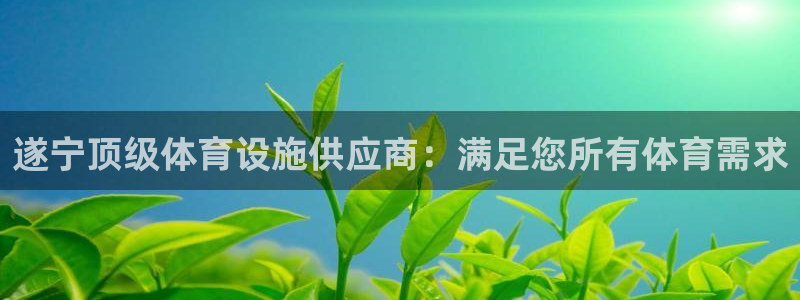 意昂体育3：遂宁顶级体育设施供应商：满足您所有体育需