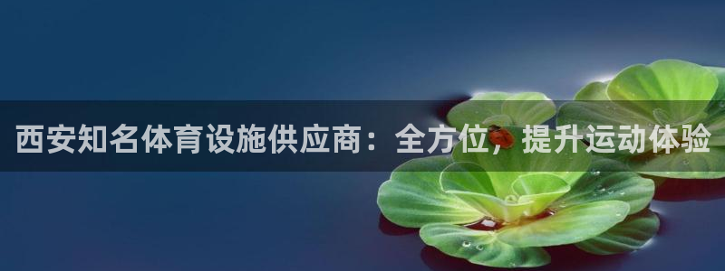 意昂体育3招商电话地址查询：西安知名体育设施供应商：