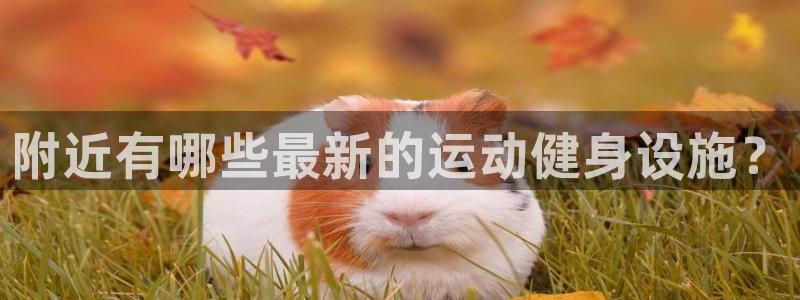 意昂体育3平台假的吗是真的吗吗：附近有哪些最新的运动