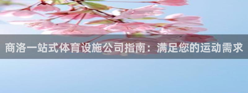意昂3新能源：商洛一站式体育设施公司指南：满足您的运