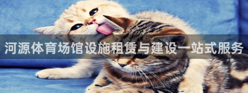 意昂3娱乐首页网站大全：河源体育场馆设施租赁与建设一