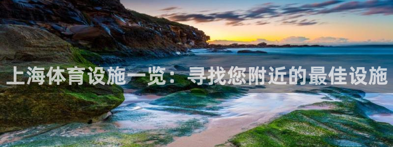 意昂体育3软件：上海体育设施一览：寻找您附近的最佳设