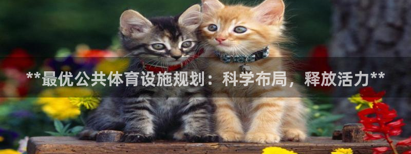 意昂体育3招商电话号码查询：**最优公共体育设施规划