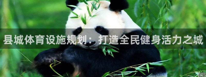意昂体育3招商电话：县城体育设施规划：打造全民健身活