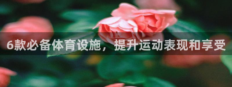 意昂体育3平台APP：6款必备体育设施，提升运动表现