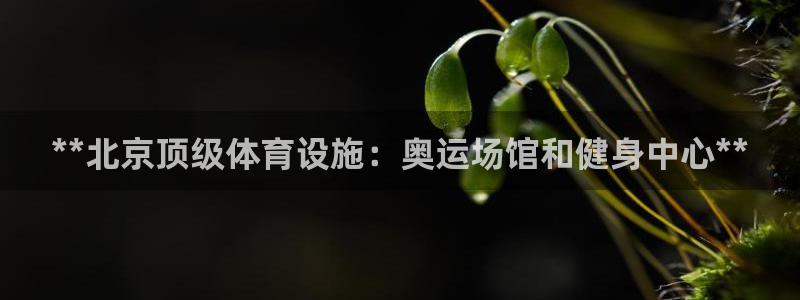 意昂3娱乐平台：**北京顶级体育设施：奥运场馆和健身