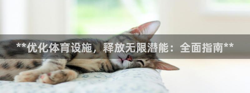 意昂体育3招商电话号码查询是多少：**优化体育设施，