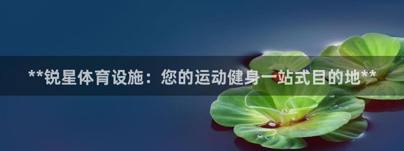 意昂3新能源：**锐星体育设施：您的运动健身一站式目