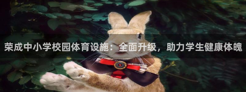 意昂3娱乐是那个系列的台子：荣成中小学校园体育设施：