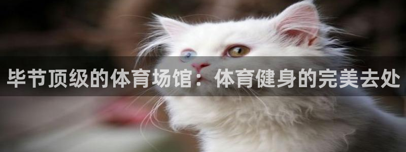 意昂3神州：毕节顶级的体育场馆：体育健身的完美去处