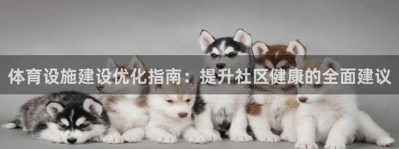 意昂3集团官网首页：体育设施建设优化指南：提升社区健