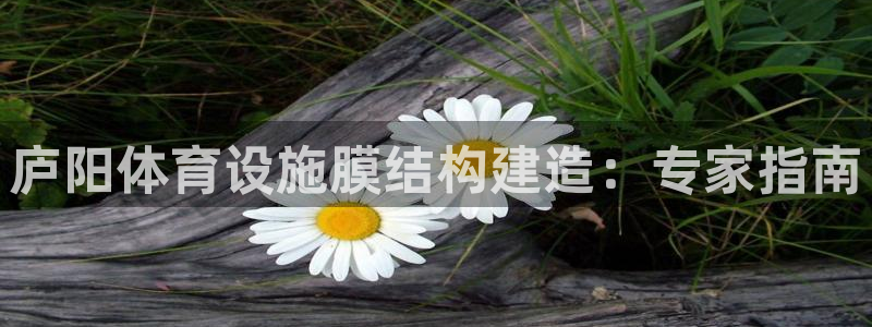 意昂体育3平台注册流程视频：庐阳体育设施膜结构建造：