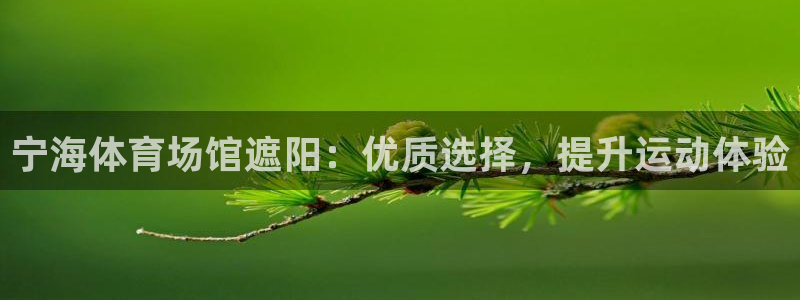 海南意昂体育3发展怎么样：宁海体育场馆遮阳：优质选择