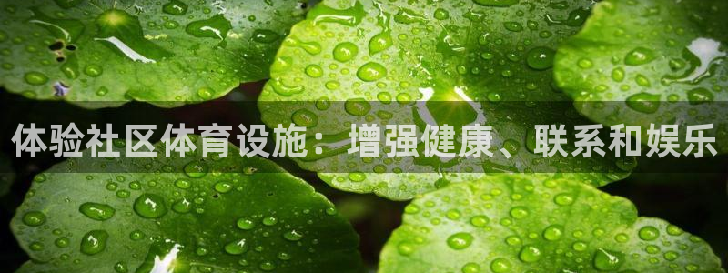 意昂3娱乐首页官网下载：体验社区体育设施：增强健康、
