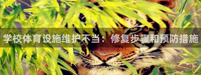 意昂体育3是干嘛的公司：学校体育设施维护不当：修复步