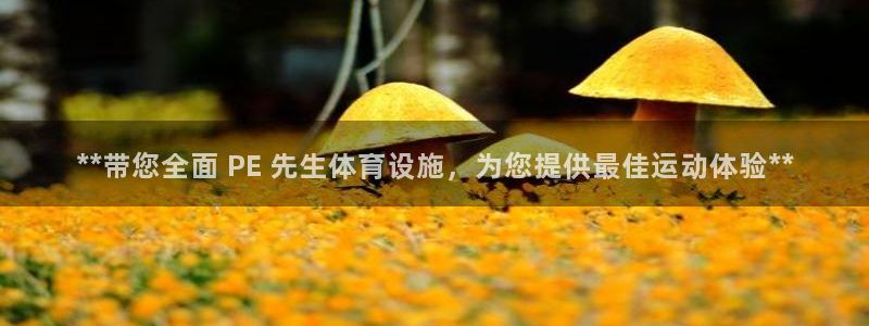 意昂体育3招商电话号码：**带您全面 PE 先生体育