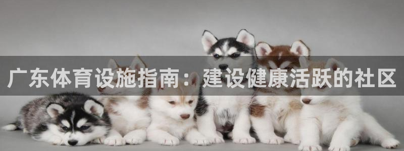 意昂3娱乐首页网站大全：广东体育设施指南：建设健康活