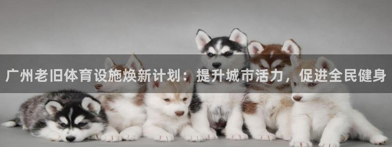 意昂体育3官方客服电话：广州老旧体育设施焕新计划：提