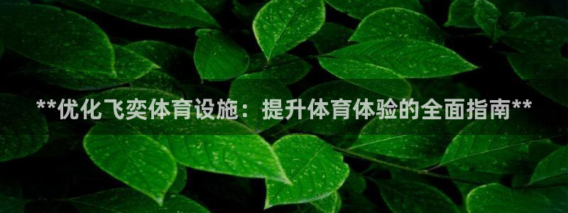 意昂3集团官网首页：**优化飞奕体育设施：提升体育体