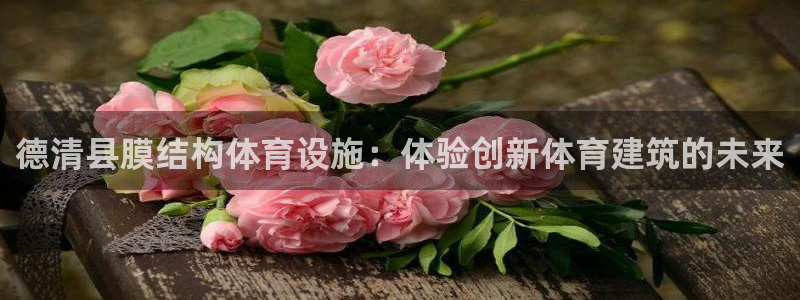 意昂3娱乐平台：德清县膜结构体育设施：体验创新体育建