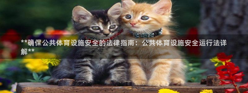 意昂体育3是干嘛的公司：**确保公共体育设施安全的法