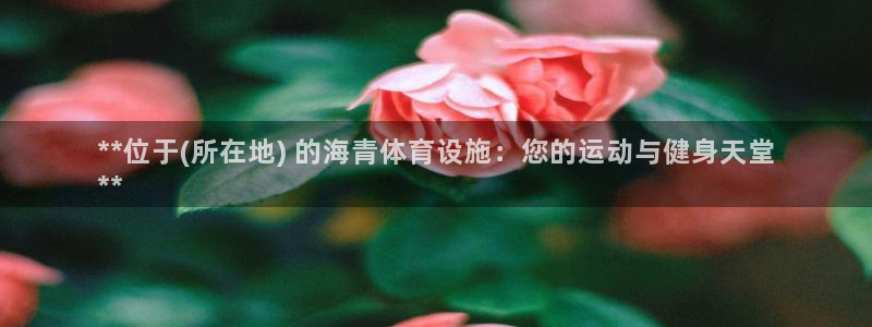 意昂体育3平台注册流程图：**位于(所在地) 的海青