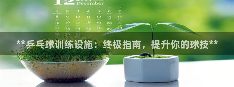 意昂3新能源：**乒乓球训练设施：终极指南，提升你的