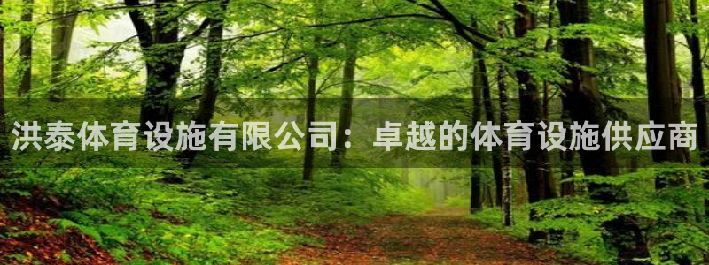 意昂体育3招商电话是多少：洪泰体育设施有限公司：卓越