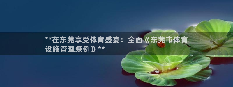 意昂集团官网：**在东莞享受体育盛宴：全面《东莞市体