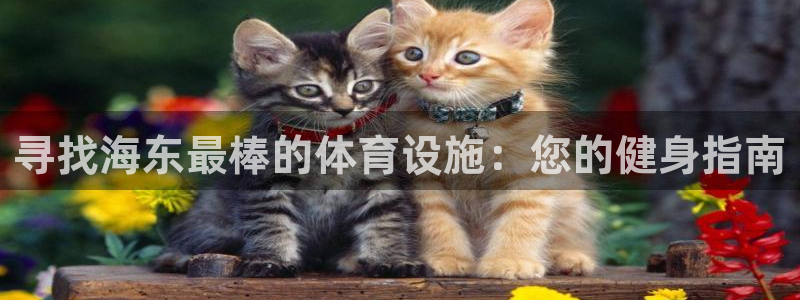 意昂3娱乐：寻找海东最棒的体育设施：您的健身指南
