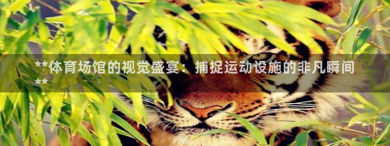 意昂体育3平台假的吗是真的吗吗